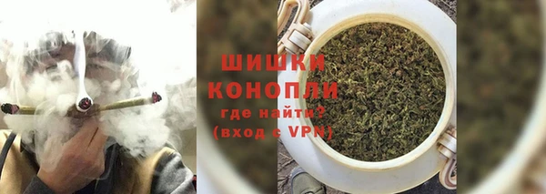 стаф Абаза