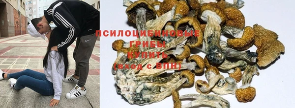 не бодяженный Абинск