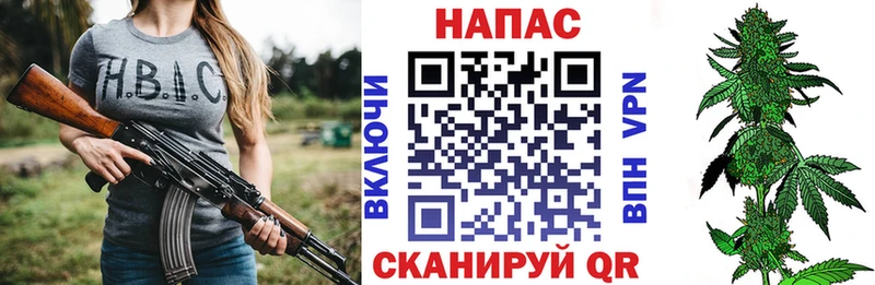 где можно купить   Кохма  Канабис марихуана 